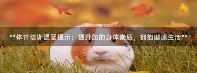 极悦官网首页登录入口网站：**体育培训温馨提示：提升
