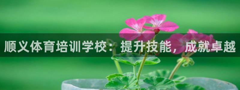 极悦平台注册用户名生成器是什么：顺义体育培训学校：提