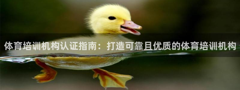极悦娱乐的最新版本更新内容在哪：体育培训机构认证指南