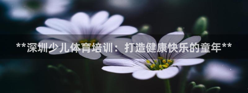 极悦平台是正规平台吗安全吗：**深圳少儿体育培训：打