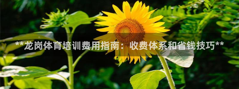 极悦平台注册失败如何解决方法：**龙岗体育培训费用指