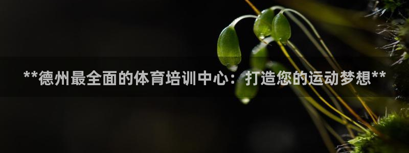 极悦平台注册资金多少钱：**德州最全面的体育培训中心