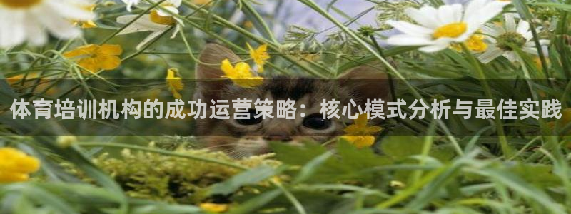 极悦平台注册登录入口网址：体育培训机构的成功运营策略
