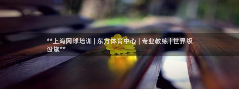 极悦官网的登录方法是什么：**上海网球培训 | 东方