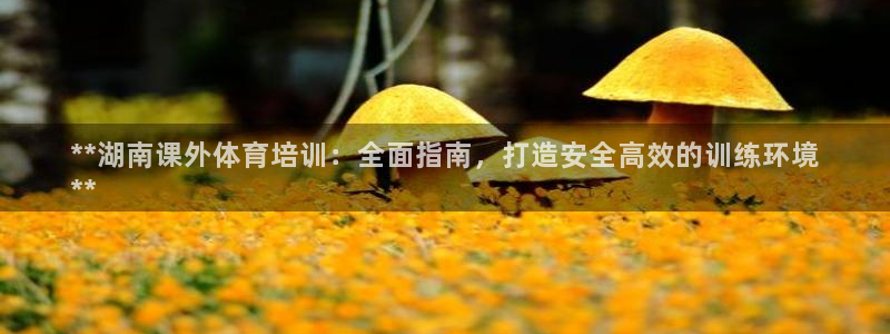 极悦娱乐官网下载app：**湖南课外体育培训：全面指