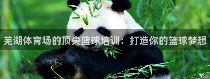 极悦娱乐app官方版本更新内容是什么：芜湖体育场的顶
