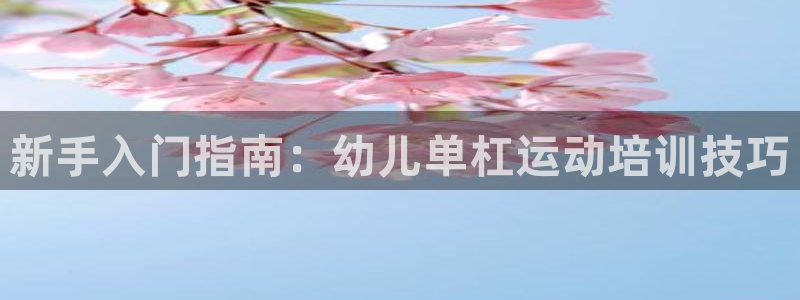 极悦娱乐贴吧最新消息：新手入门指南：幼儿单杠运动培训