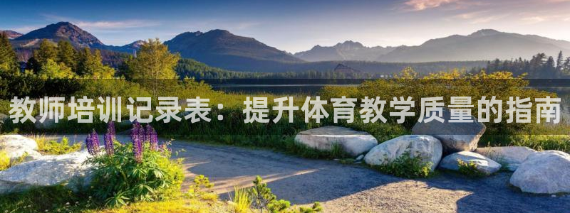 极悦官方网站入口：教师培训记录表：提升体育教学质量的