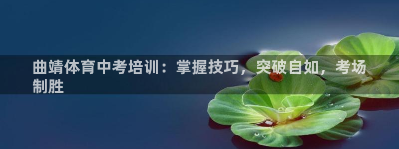 极悦官网下载最新版本更新内容视频：曲靖体育中考培训：
