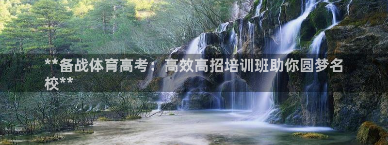 极悦平台用户反馈和反馈：**备战体育高考：高效高招培