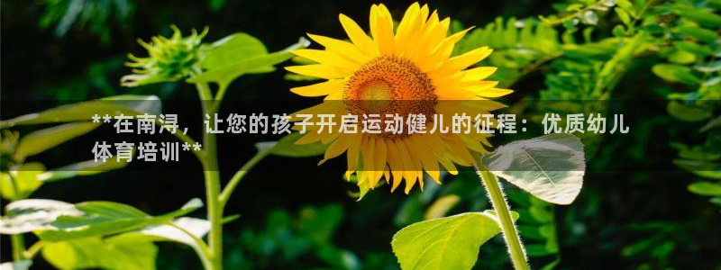 极悦娱乐股东：**在南浔，让您的孩子开启运动健儿的征