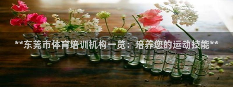 极悦平台注册用户名格式是什么：**东莞市体育培训机构