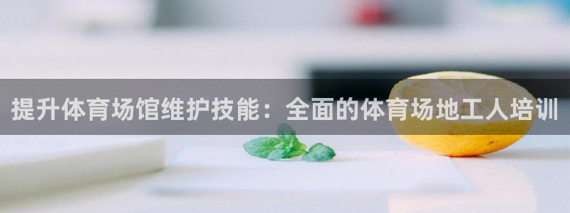 极悦平台城7O777：提升体育场馆维护技能：全面的体