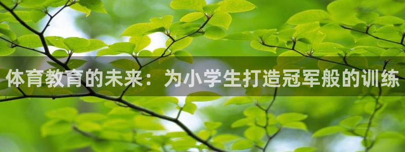 极悦平台看7O777：体育教育的未来：为小学生打造冠