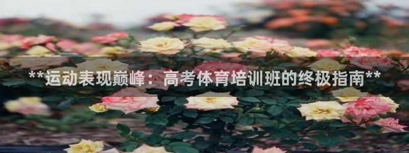 极悦娱乐挂机赚钱是真的吗知乎：**运动表现巅峰：高考