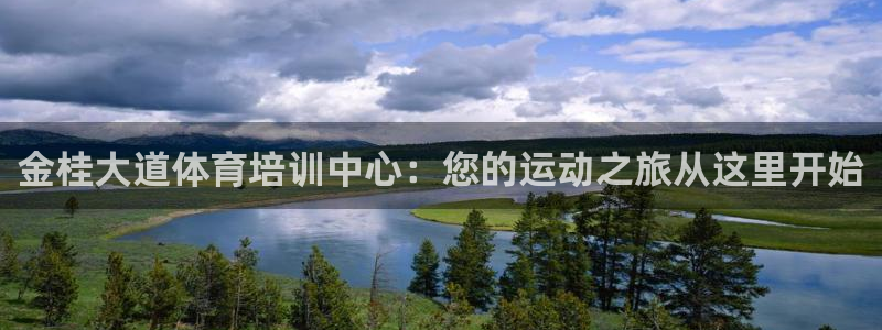 极悦平台注册用户名验证失败：金桂大道体育培训中心：您