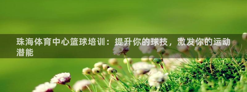 极悦平台注册和登录页面在哪：珠海体育中心篮球培训：提