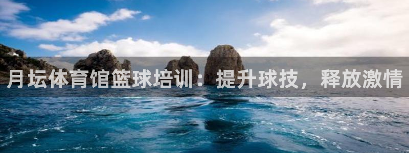 极悦平台用户反馈和反馈一样吗：月坛体育馆篮球培训：提