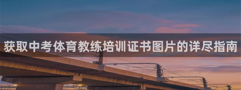 极悦平台官网入口网站：获取中考体育教练培训证书图片的
