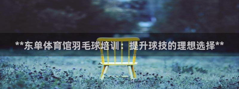 极悦娱乐的背景和历史背景介绍：**东单体育馆羽毛球培