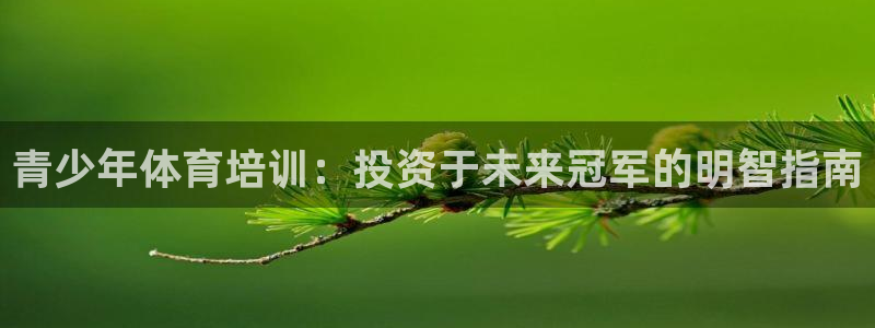 极悦平台注册官网：青少年体育培训：投资于未来冠军的明
