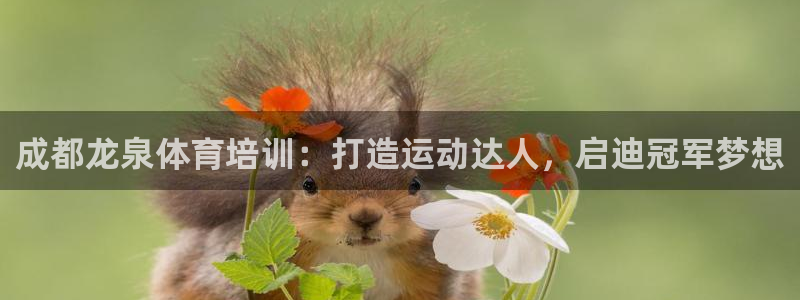 加盟极悦教育要多少钱