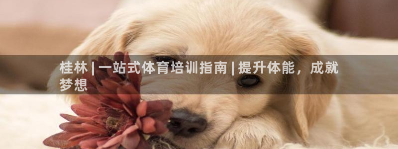 极悦平台非7O777：桂林 | 一站式体育培训指南 