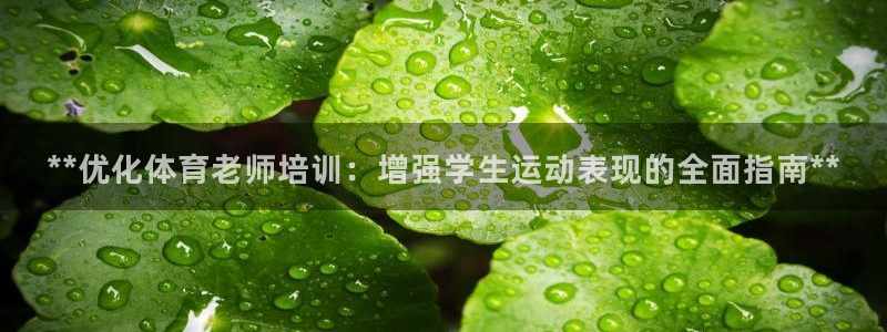 极悦生活家是什么平台的产品：**优化体育老师培训：增