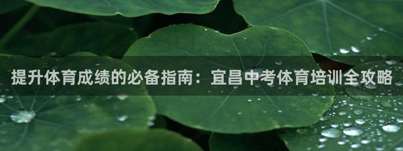 极悦娱乐官网入口网站