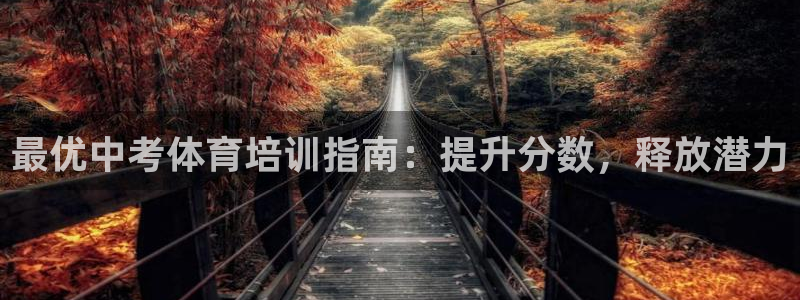 极悦官网首页登录入口网站：最优中考体育培训指南：提升