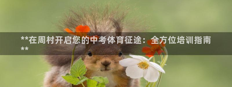极悦娱乐股东：**在周村开启您的中考体育征途：全方位