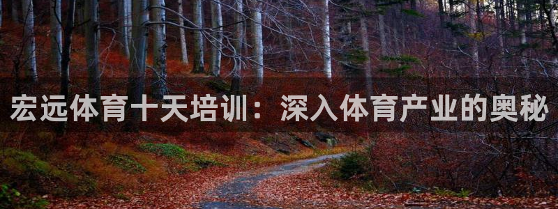 极悦平台app安全吗可靠吗：宏远体育十天培训：深入体