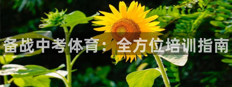 极悦平台客服团队名称：备战中考体育：全方位培训指南