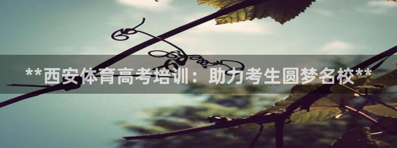 极悦平台是正规平台吗知乎：**西安体育高考培训：助力