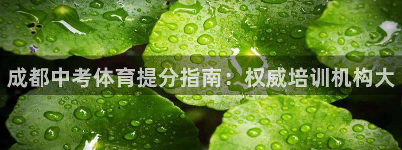 极悦平台注册登录入口：成都中考体育提分指南：权威培训