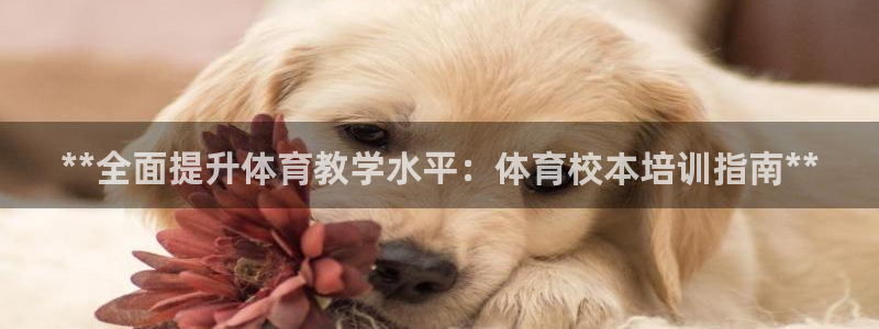 极悦娱乐官方网站：**全面提升体育教学水平：体育校本