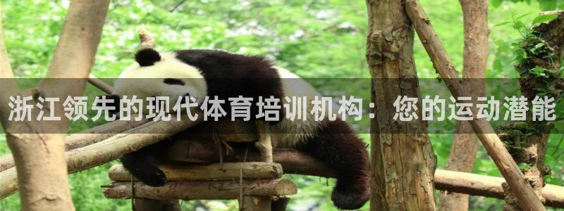 极悦娱乐官方网站下载：浙江领先的现代体育培训机构：您