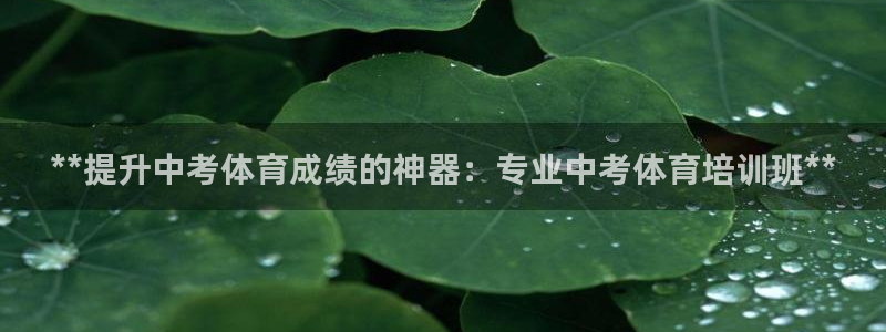 极悦平台客服团队：**提升中考体育成绩的神器：专业中