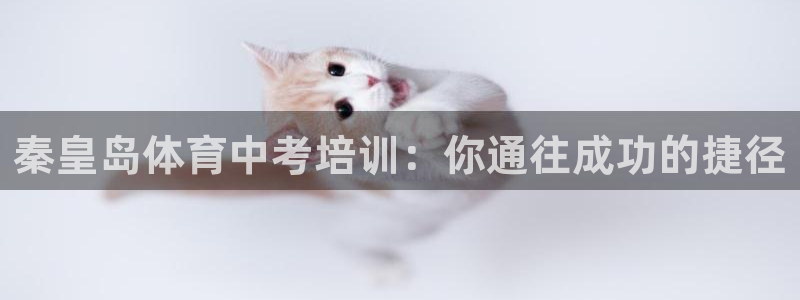极悦平台注册用户名格式错误：秦皇岛体育中考培训：你通