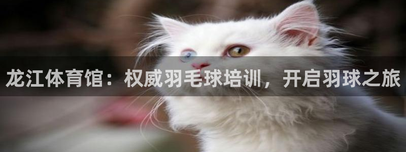 极悦娱乐现在叫什么：龙江体育馆：权威羽毛球培训，开启