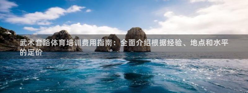 极悦是什么牌子空调的：武术套路体育培训费用指南：全面