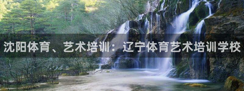 极悦平台注册官网网址：沈阳体育、艺术培训：辽宁体育艺