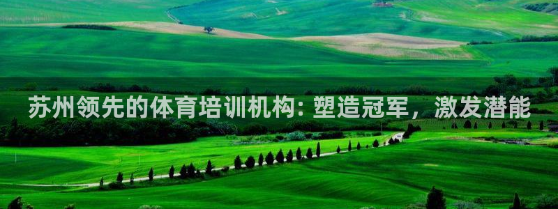 极悦平台注册官方网站下载安卓版：苏州领先的体育培训机