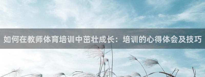 极悦官方网站app下载安卓：如何在教师体育培训中茁壮