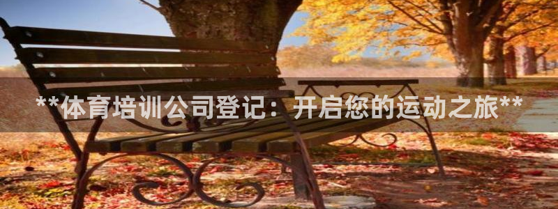 极悦娱乐的背景和历史背景介绍：**体育培训公司登记：