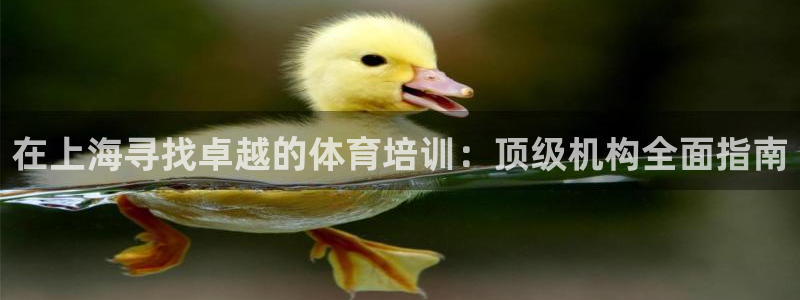 极悦平台注册：在上海寻找卓越的体育培训：顶级机构全面