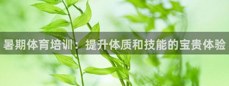 极悦娱乐官网下载：暑期体育培训：提升体质和技能的宝贵