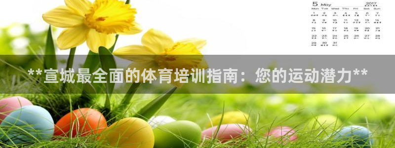 极悦娱乐官网下载app：**宣城最全面的体育培训指南