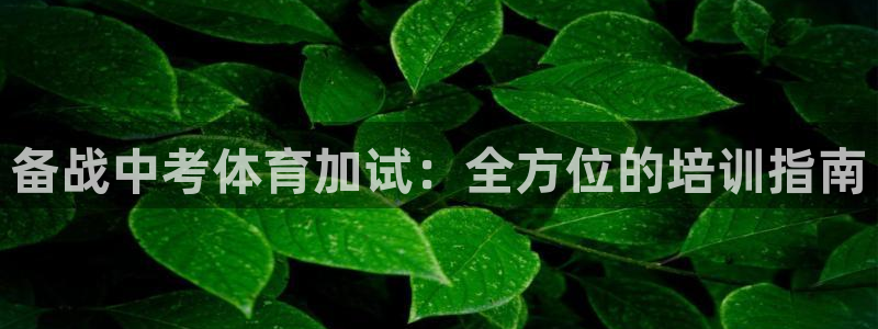 极悦娱乐贴吧官网：备战中考体育加试：全方位的培训指南