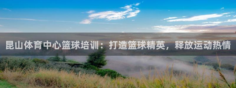 极悦平台登录入口注册账号：昆山体育中心篮球培训：打造